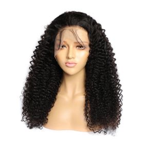 Curly Human Hair Wig Lace Hair Products (Option: 13x6 150density-16inch)